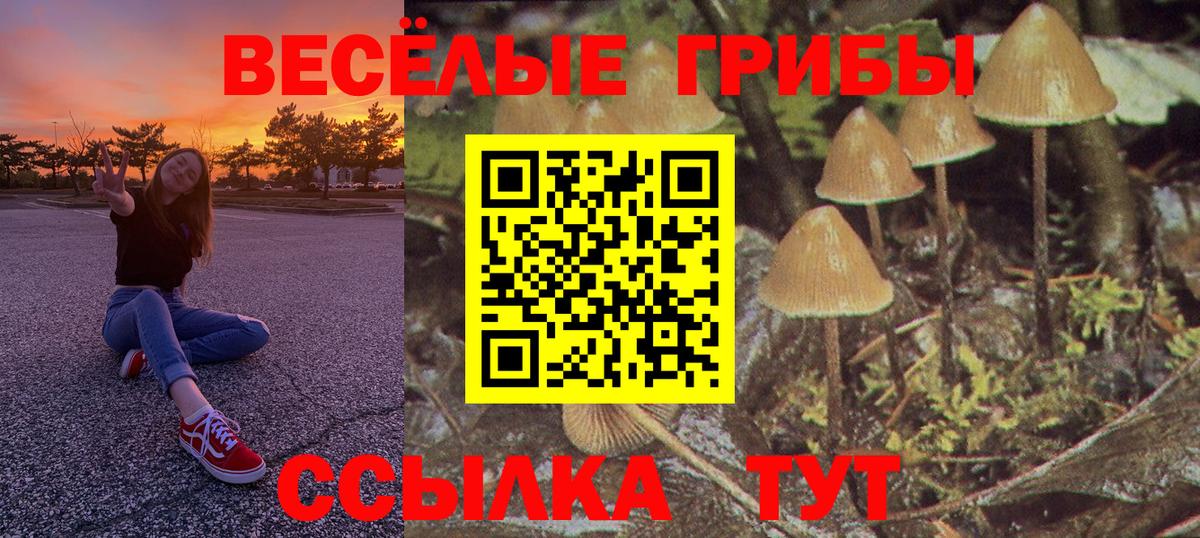 Кстово  Псилоцибиновые грибы мухоморы  Галлюциногенные грибы GOLDEN TEACHER  Вход с VPN 