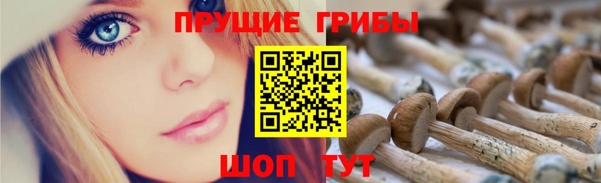 Галлюциногенные грибы мицелий Кстово